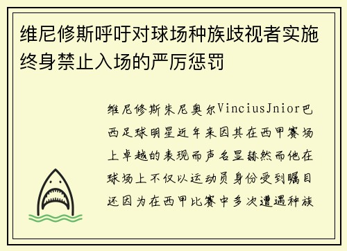 维尼修斯呼吁对球场种族歧视者实施终身禁止入场的严厉惩罚